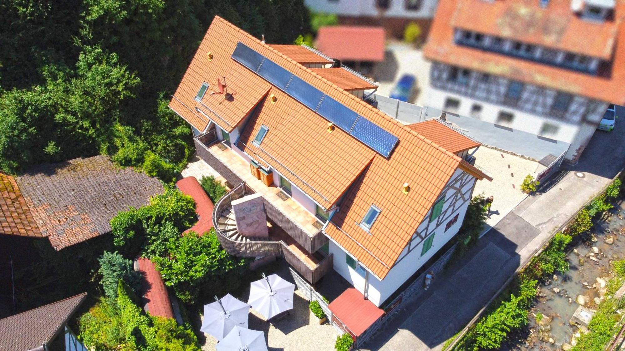 Schusterjunge Sasbachwalden
